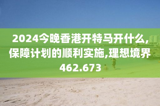 2024今晚香港开特马开什么,保障计划的顺利实施,理想境界462.673
