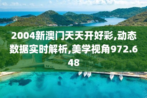 2004新澳门天天开好彩,动态数据实时解析,美学视角972.648