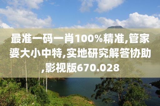 最准一码一肖100%精准,管家婆大小中特,实地研究解答协助,影视版670.028