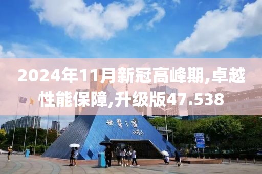 2024年11月新冠高峰期,卓越性能保障,升级版47.538
