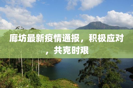 廊坊最新疫情通报，积极应对，共克时艰