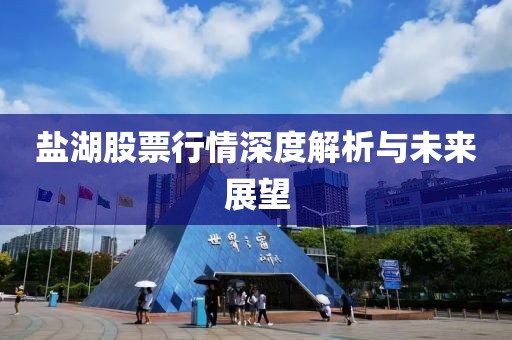 盐湖股票行情深度解析与未来展望