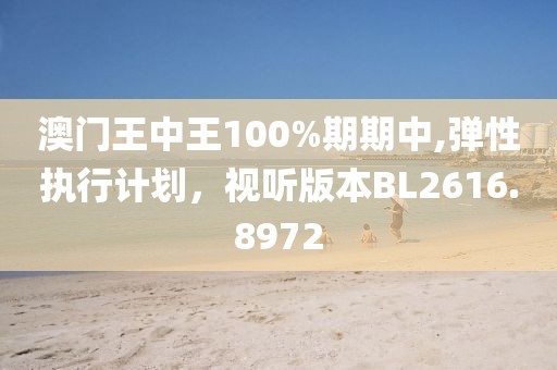 澳门王中王100%期期中,弹性执行计划，视听版本BL2616.8972
