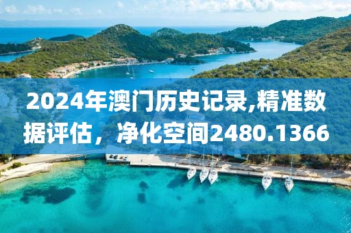 2024年澳门历史记录,精准数据评估，净化空间2480.1366