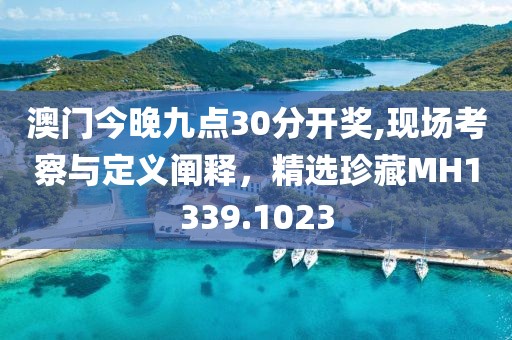 澳门今晚九点30分开奖,现场考察与定义阐释，精选珍藏MH1339.1023
