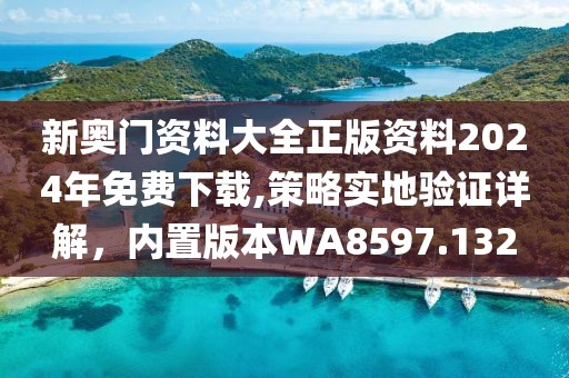 新奥门资料大全正版资料2024年免费下载,策略实地验证详解，内置版本WA8597.132