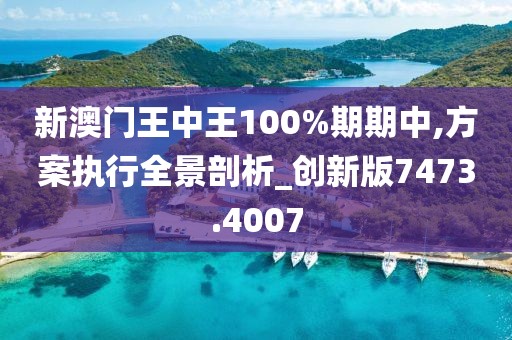 新澳门王中王100%期期中,方案执行全景剖析_创新版7473.4007
