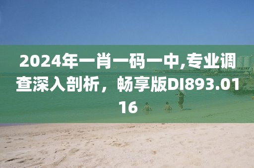 2024年一肖一码一中,专业调查深入剖析，畅享版DI893.0116