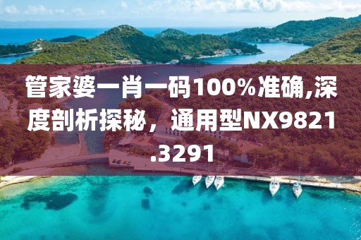 管家婆一肖一码100%准确,深度剖析探秘，通用型NX9821.3291