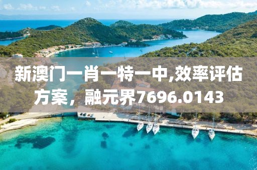 新澳门一肖一特一中,效率评估方案，融元界7696.0143