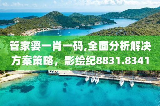 管家婆一肖一码,全面分析解决方案策略，影绘纪8831.8341