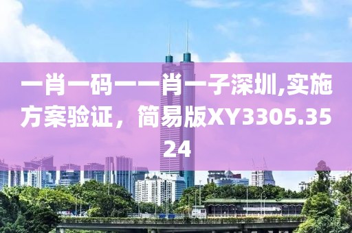 一肖一码一一肖一子深圳,实施方案验证，简易版XY3305.3524
