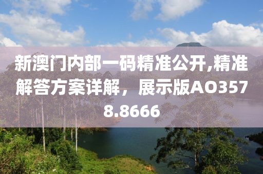 新澳门内部一码精准公开,精准解答方案详解，展示版AO3578.8666
