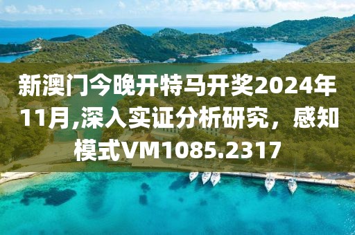新澳门今晚开特马开奖2024年11月,深入实证分析研究，感知模式VM1085.2317