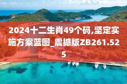 2024十二生肖49个码,坚定实施方案蓝图_震撼版ZB261.525