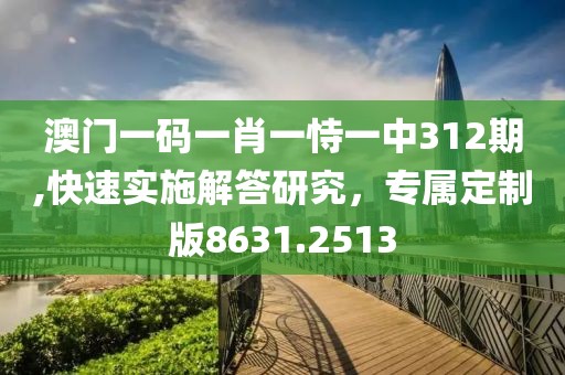 澳门一码一肖一恃一中312期,快速实施解答研究，专属定制版8631.2513