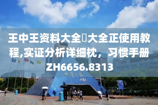 王中王资料大全枓大全正使用教程,实证分析详细枕，习惯手册ZH6656.8313