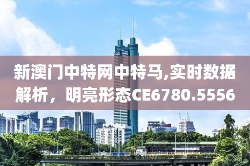新澳门中特网中特马,实时数据解析，明亮形态CE6780.5556