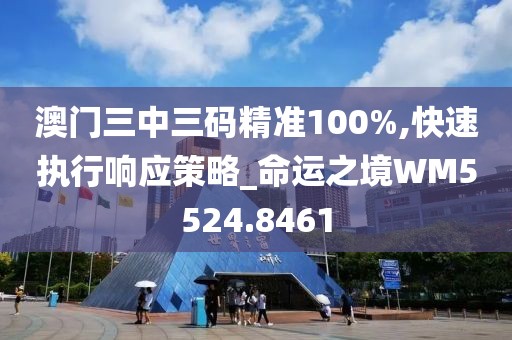澳门三中三码精准100%,快速执行响应策略_命运之境WM5524.8461
