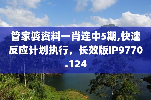 管家婆资料一肖连中5期,快速反应计划执行，长效版IP9770.124
