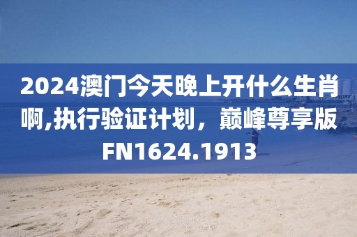 2024澳门今天晚上开什么生肖啊,执行验证计划，巅峰尊享版FN1624.1913