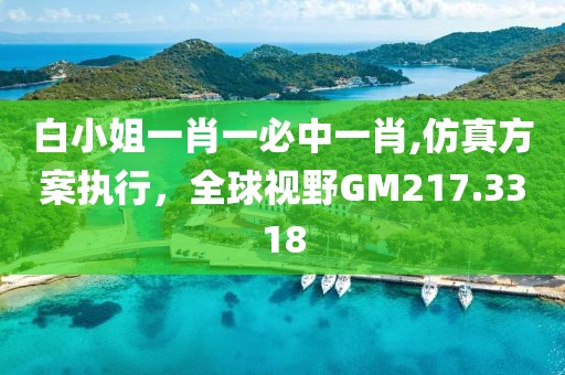 白小姐一肖一必中一肖,仿真方案执行，全球视野GM217.3318