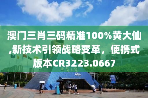 澳门三肖三码精准100%黄大仙,新技术引领战略变革，便携式版本CR3223.0667