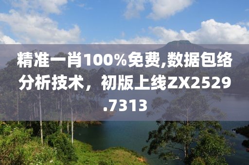 精准一肖100%免费,数据包络分析技术，初版上线ZX2529.7313