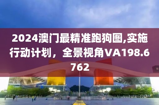 2024澳门最精准跑狗图,实施行动计划，全景视角VA198.6762