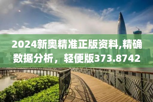 2024新奥精准正版资料,精确数据分析，轻便版373.8742