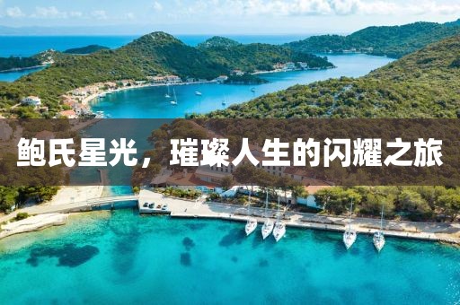 鲍氏星光，璀璨人生的闪耀之旅