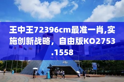 王中王72396cm最准一肖,实施创新战略，自由版KO2753.1558