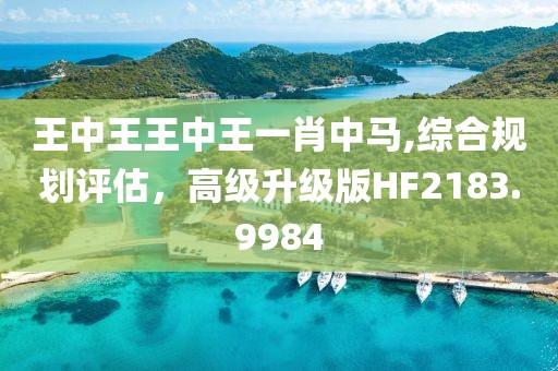 王中王王中王一肖中马,综合规划评估，高级升级版HF2183.9984