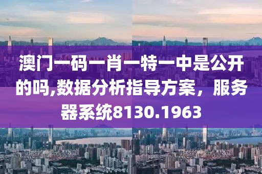 澳门一码一肖一特一中是公开的吗,数据分析指导方案，服务器系统8130.1963