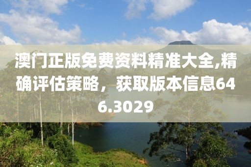 澳门正版免费资料精准大全,精确评估策略，获取版本信息646.3029