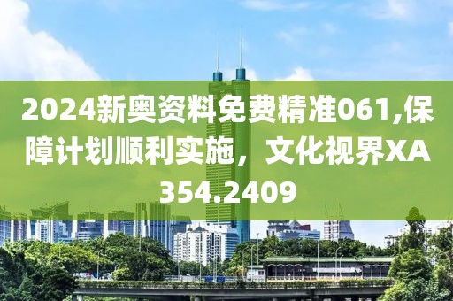 2024新奥资料免费精准061,保障计划顺利实施，文化视界XA354.2409