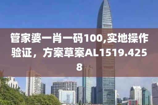 管家婆一肖一码100,实地操作验证，方案草案AL1519.4258