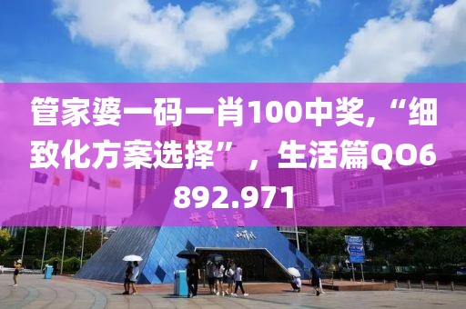 管家婆一码一肖100中奖,“细致化方案选择”，生活篇QO6892.971