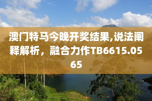 澳门特马今晚开奖结果,说法阐释解析，融合力作TB6615.0565