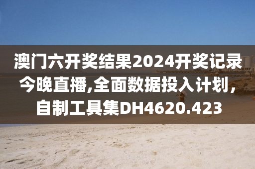 澳门六开奖结果2024开奖记录今晚直播,全面数据投入计划，自制工具集DH4620.423