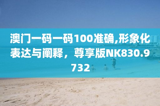 澳门一码一码100准确,形象化表达与阐释，尊享版NK830.9732
