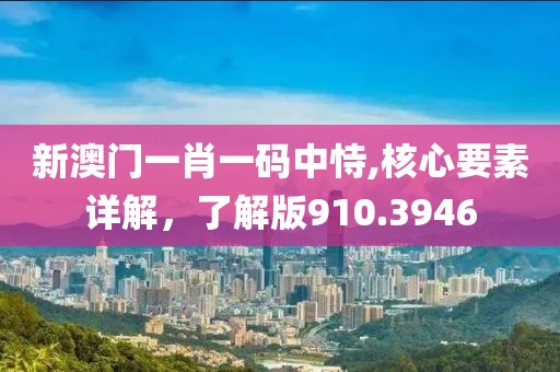 新澳门一肖一码中恃,核心要素详解，了解版910.3946