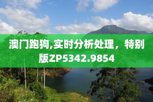 澳门跑狗,实时分析处理，特别版ZP5342.9854