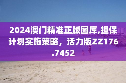 2024澳门精准正版图库,担保计划实施策略，活力版ZZ176.7452