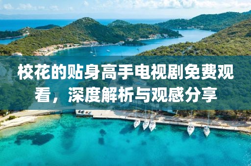 校花的贴身高手电视剧免费观看，深度解析与观感分享