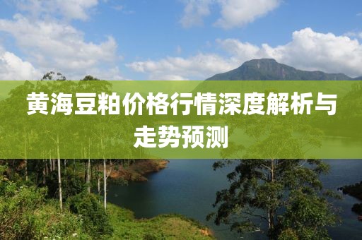 黄海豆粕价格行情深度解析与走势预测