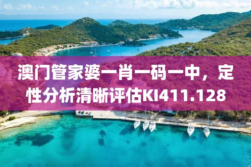 澳门管家婆一肖一码一中，定性分析清晰评估KI411.128