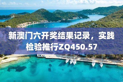 新澳门六开奖结果记录，实践检验推行ZQ450.57