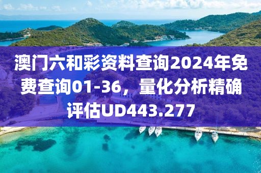 澳门六和彩资料查询2024年免费查询01-36，量化分析精确评估UD443.277