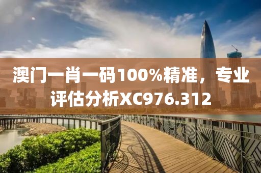 澳门一肖一码100%精准，专业评估分析XC976.312